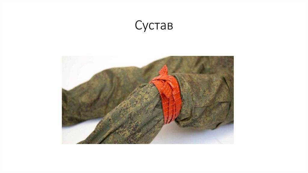 Сустав