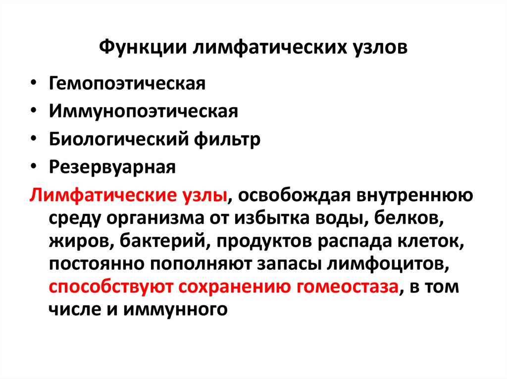 Функции лимфатических узлов