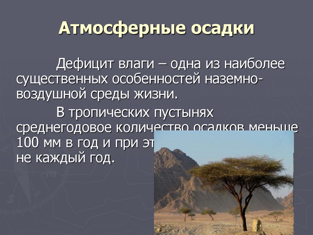 Атмосферные осадки