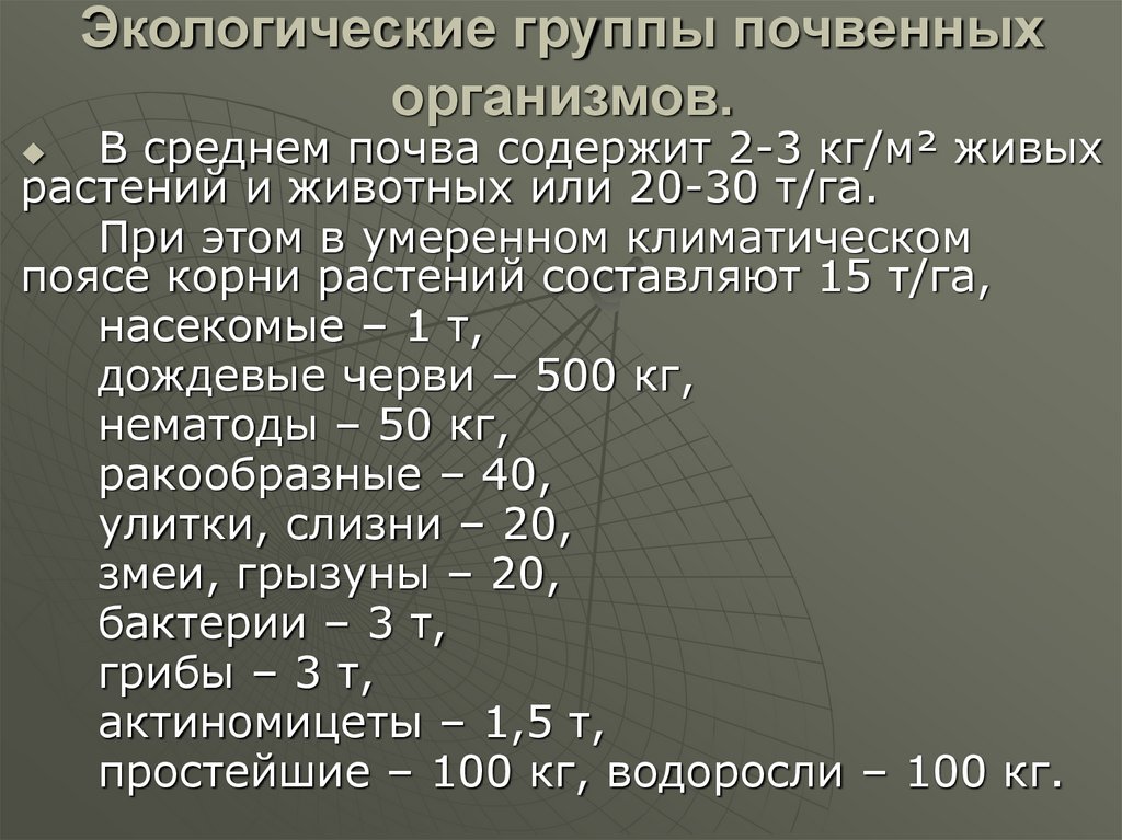 Экологические группы почвенных организмов.