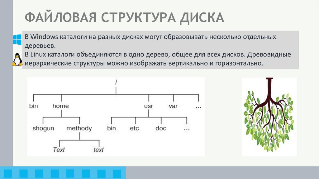 ФАЙЛОВАЯ СТРУКТУРА ДИСКА