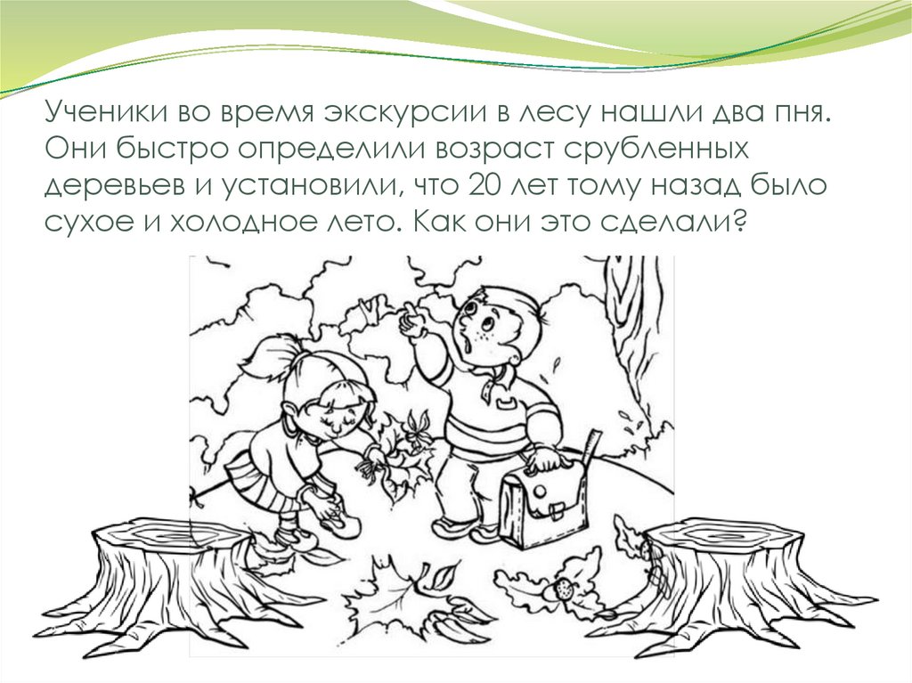 Ученики во время экскурсии в лесу нашли два пня. Они быстро определили возраст срубленных деревьев и установили, что 20 лет