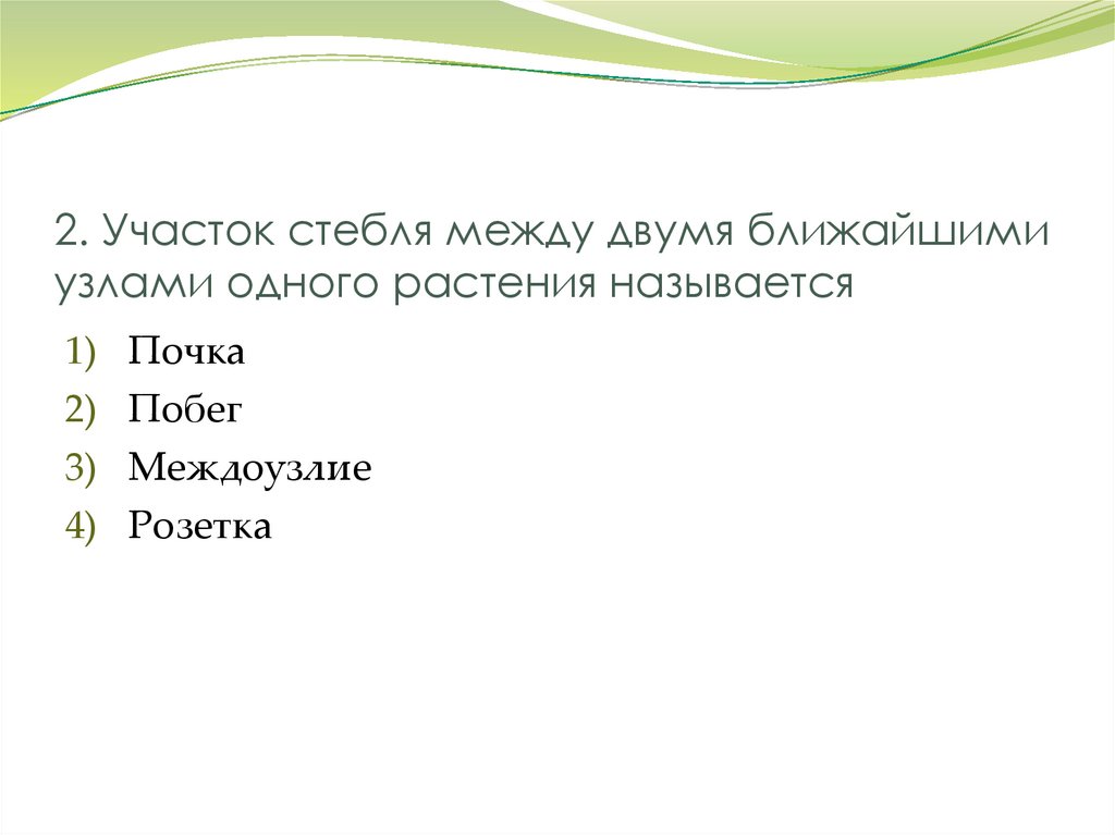 2. Участок стебля между двумя ближайшими узлами одного растения называется
