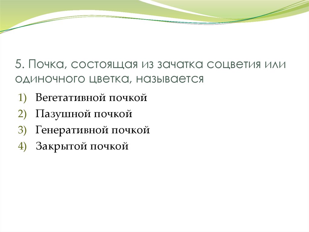 5. Почка, состоящая из зачатка соцветия или одиночного цветка, называется