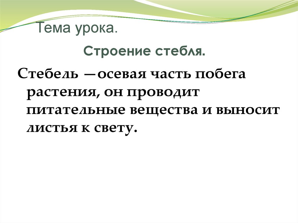 Тема урока. Строение стебля.