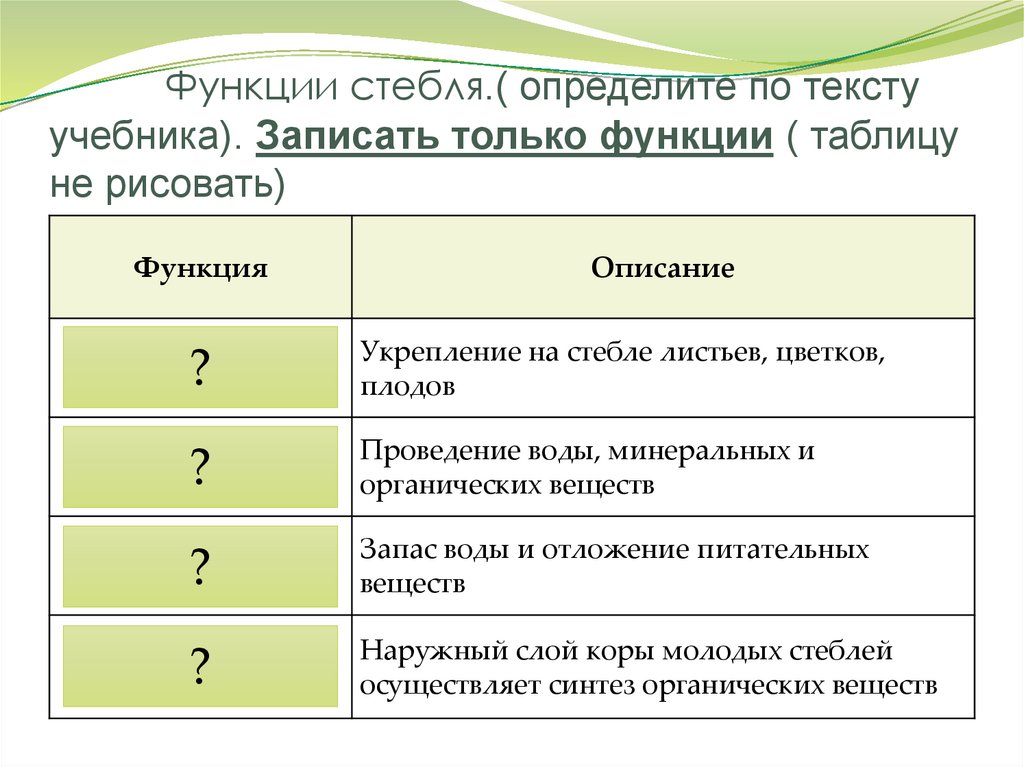 Функции стебля.( определите по тексту учебника). Записать только функции ( таблицу не рисовать)