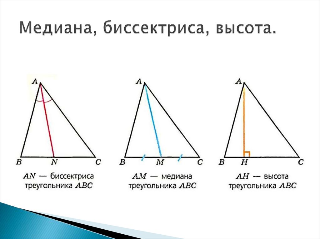 Медиана, биссектриса, высота.