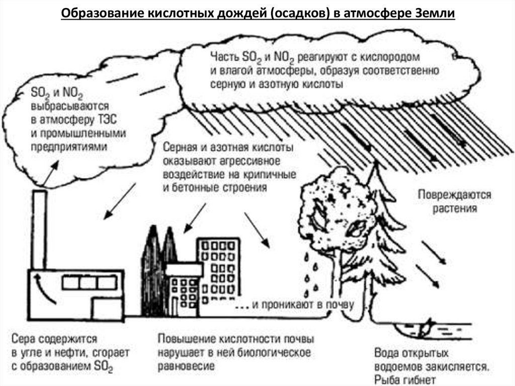 Образование кислотных дождей (осадков) в атмосфере Земли