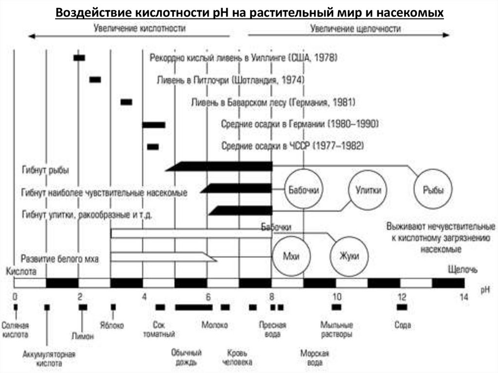 Воздействие кислотности рН на растительный мир и насекомых