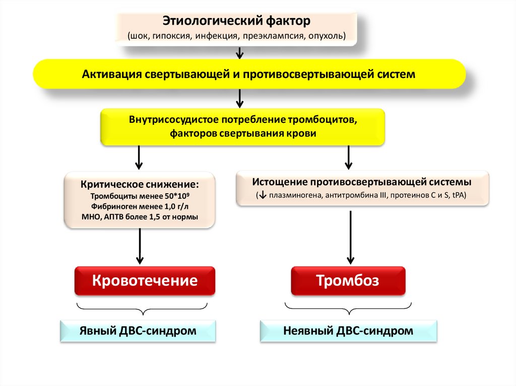 Этиологический фактор (шок, гипоксия, инфекция, преэклампсия, опухоль)