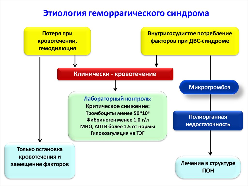 Этиология геморрагического синдрома
