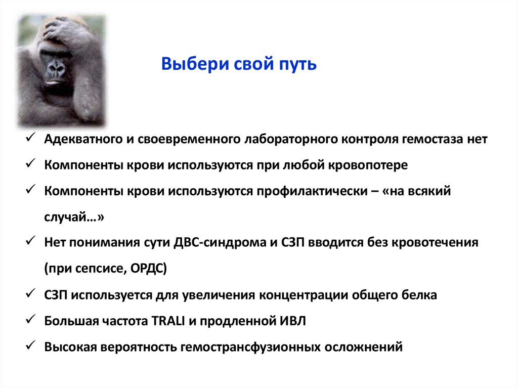 Выбери свой путь