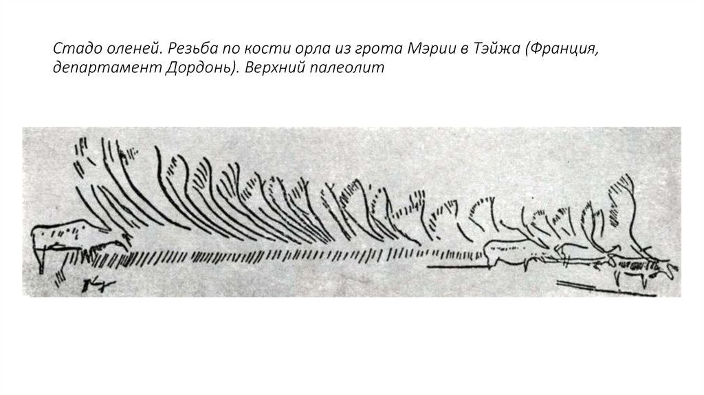 Стадо оленей. Резьба по кости орла из грота Мэрии в Тэйжа (Франция, департамент Дордонь). Верхний палеолит