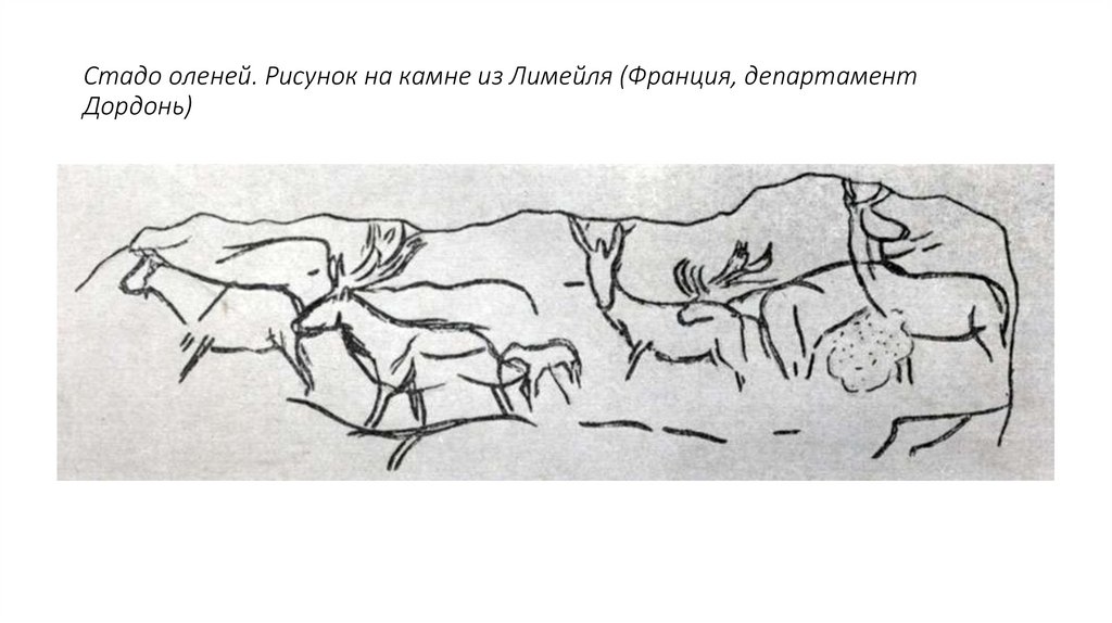 Стадо оленей. Рисунок на камне из Лимейля (Франция, департамент Дордонь)