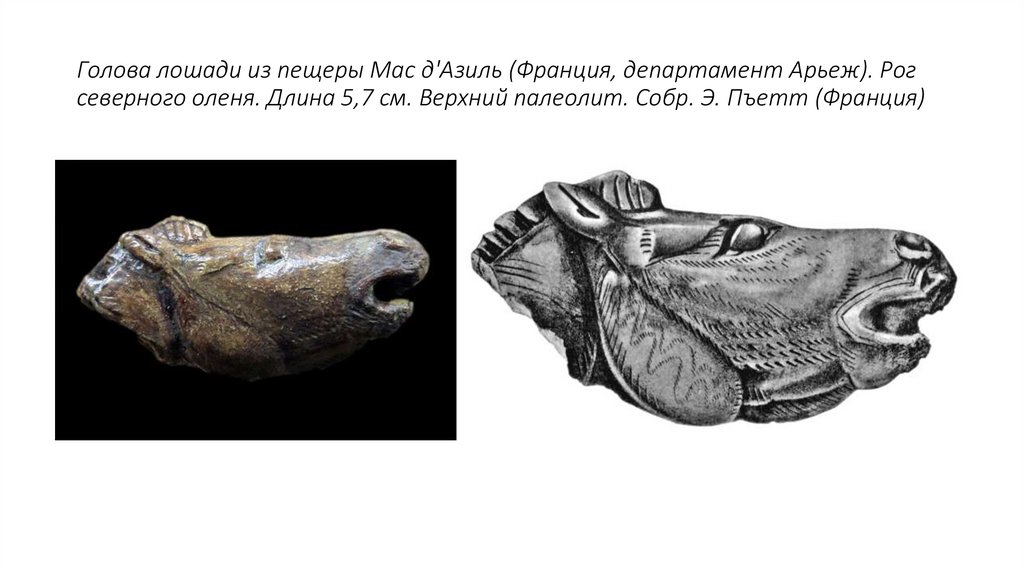 Голова лошади из пещеры Мас д'Азиль (Франция, департамент Арьеж). Рог северного оленя. Длина 5,7 см. Верхний палеолит. Собр. Э.