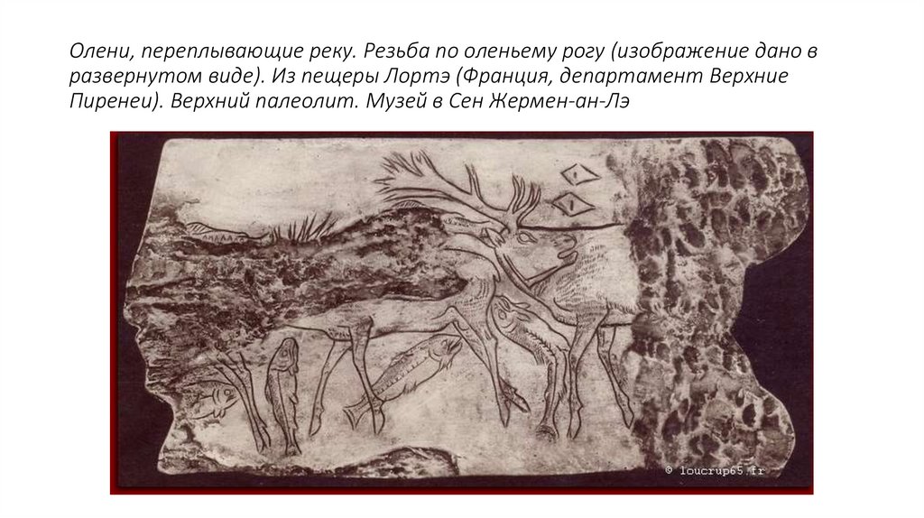 Олени, переплывающие реку. Резьба по оленьему рогу (изображение дано в развернутом виде). Из пещеры Лортэ (Франция, департамент