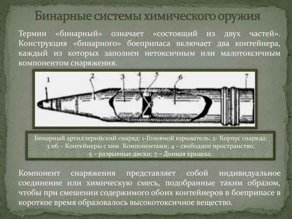 Бинарные системы химического оружия