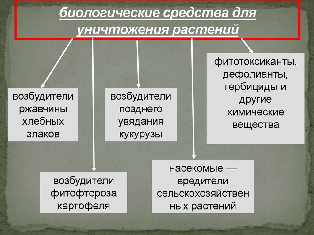 биологические средства для уничтожения растений