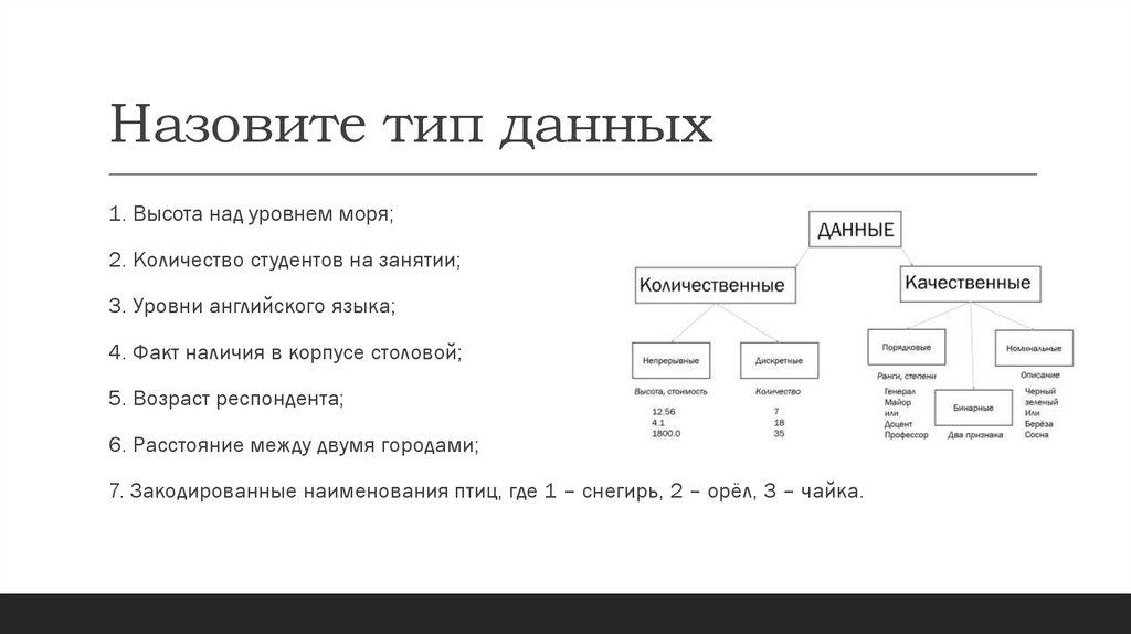 Назовите тип данных