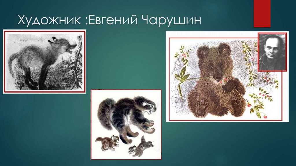 Художник :Евгений Чарушин