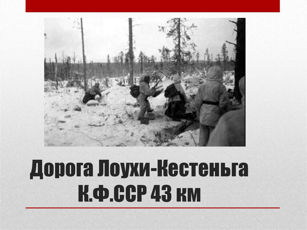 Дорога Лоухи-Кестеньга К.Ф.ССР 43 км