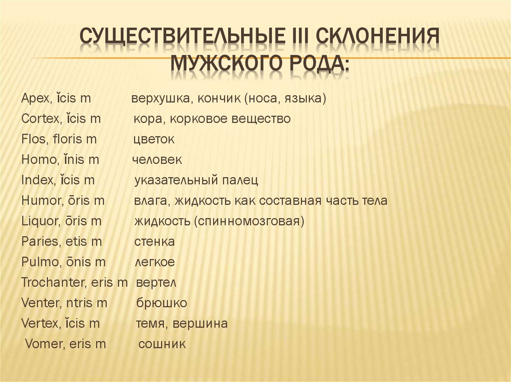 Существительные III склонения мужского рода: