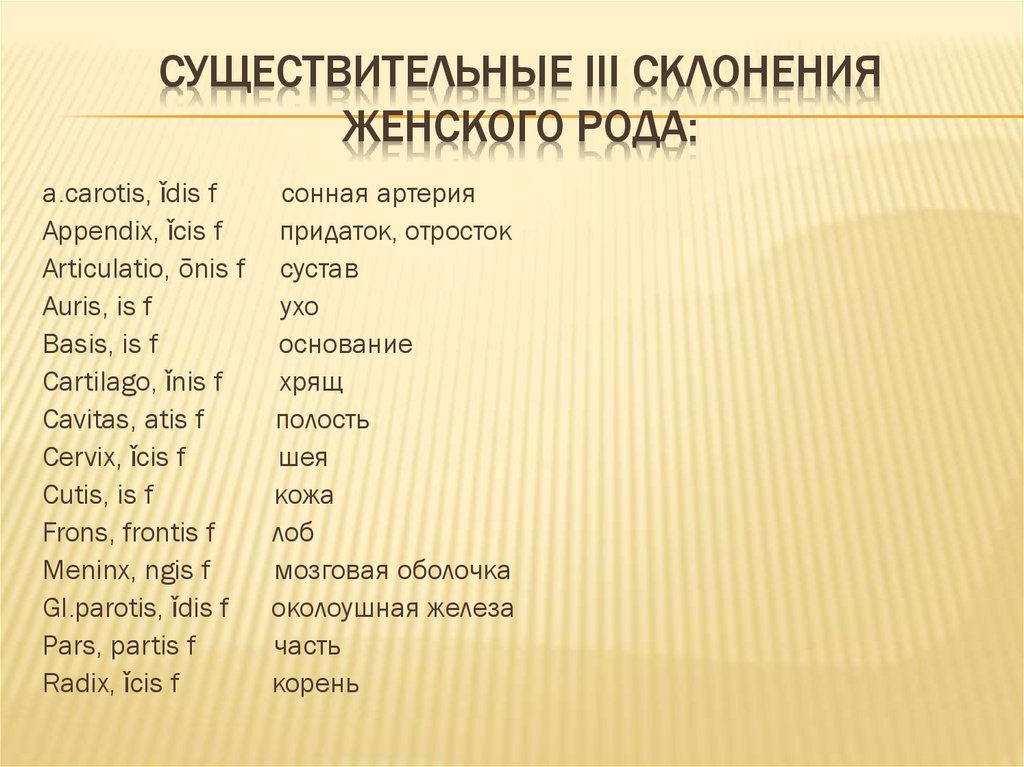 Существительные III склонения женского рода: