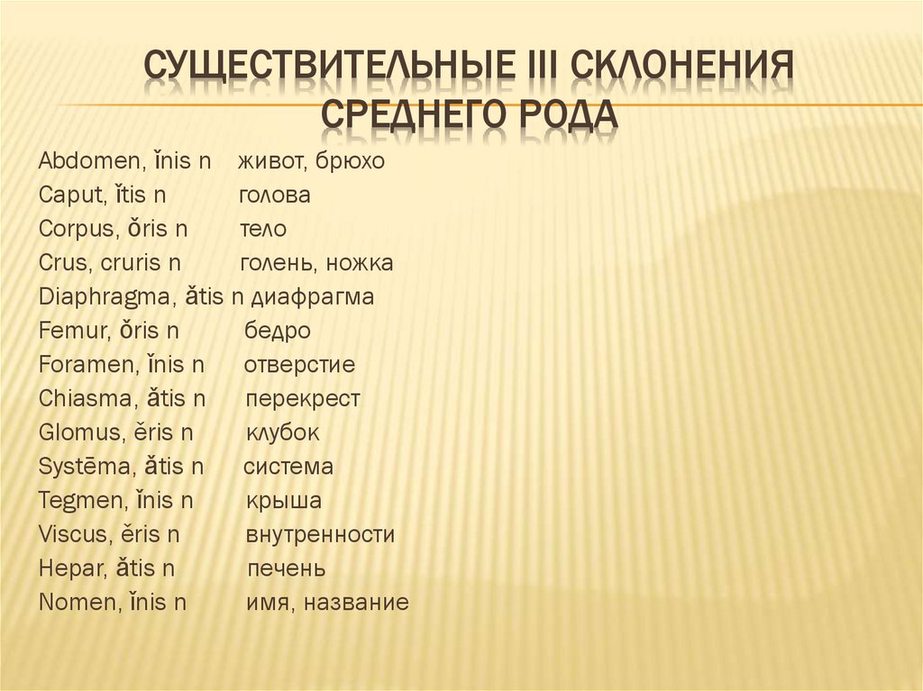 Существительные III склонения среднего рода