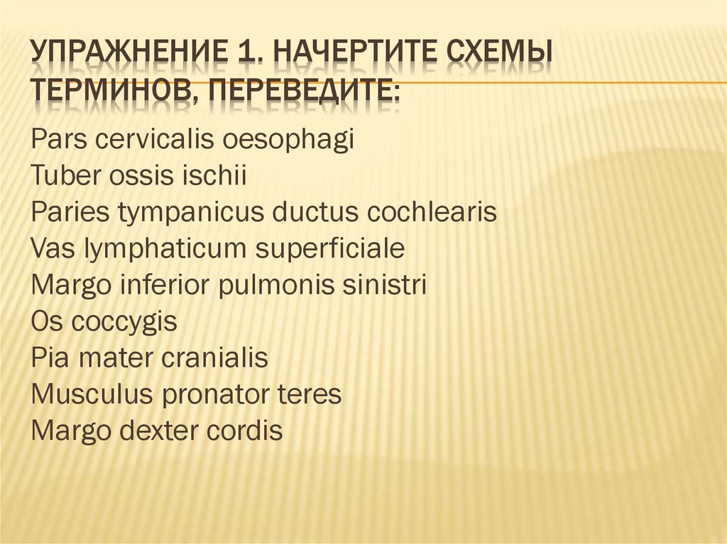 Упражнение 1. начертите схемы терминов, Переведите:
