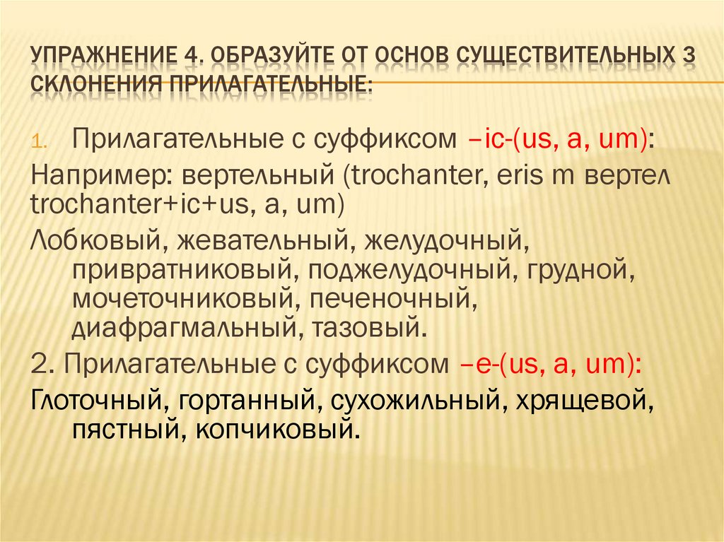 Упражнение 4. Образуйте от основ существительных 3 склонения прилагательные: