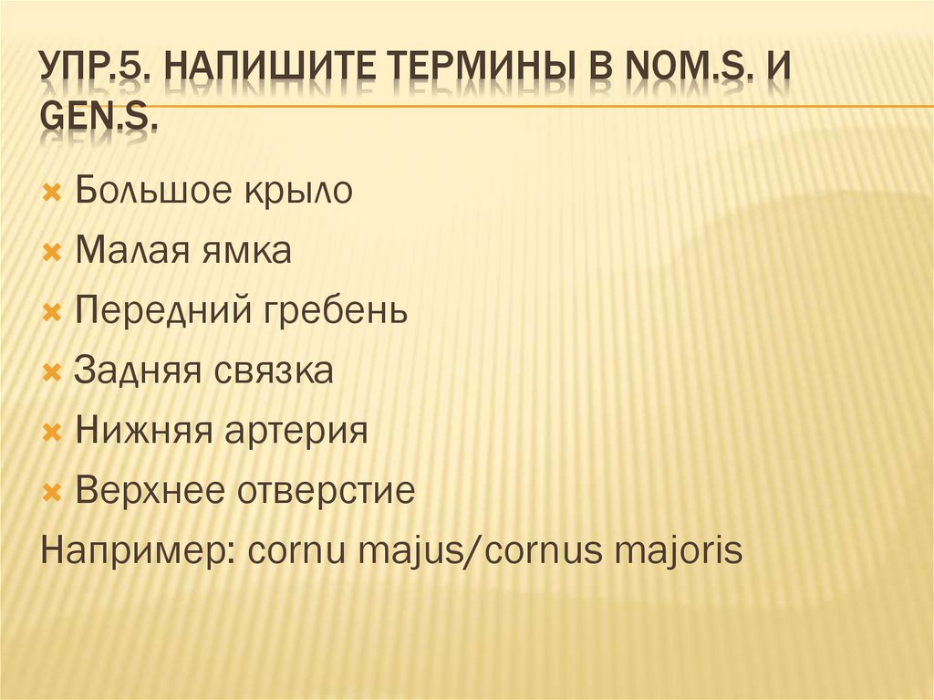 Упр.5. Напишите термины в Nom.s. И Gen.s.