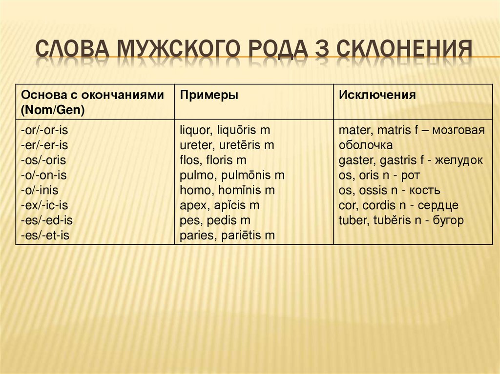 Слова мужского рода 3 склонения
