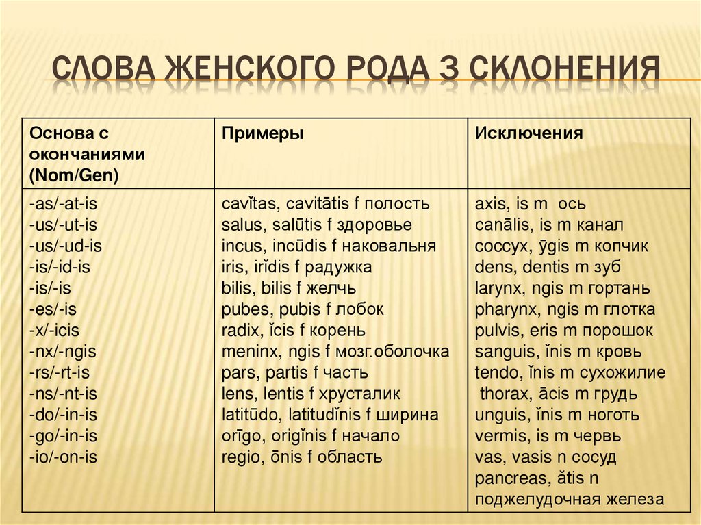 Слова женского рода 3 склонения