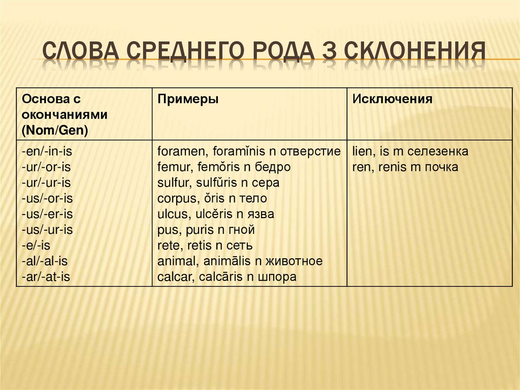 Слова среднего рода 3 склонения