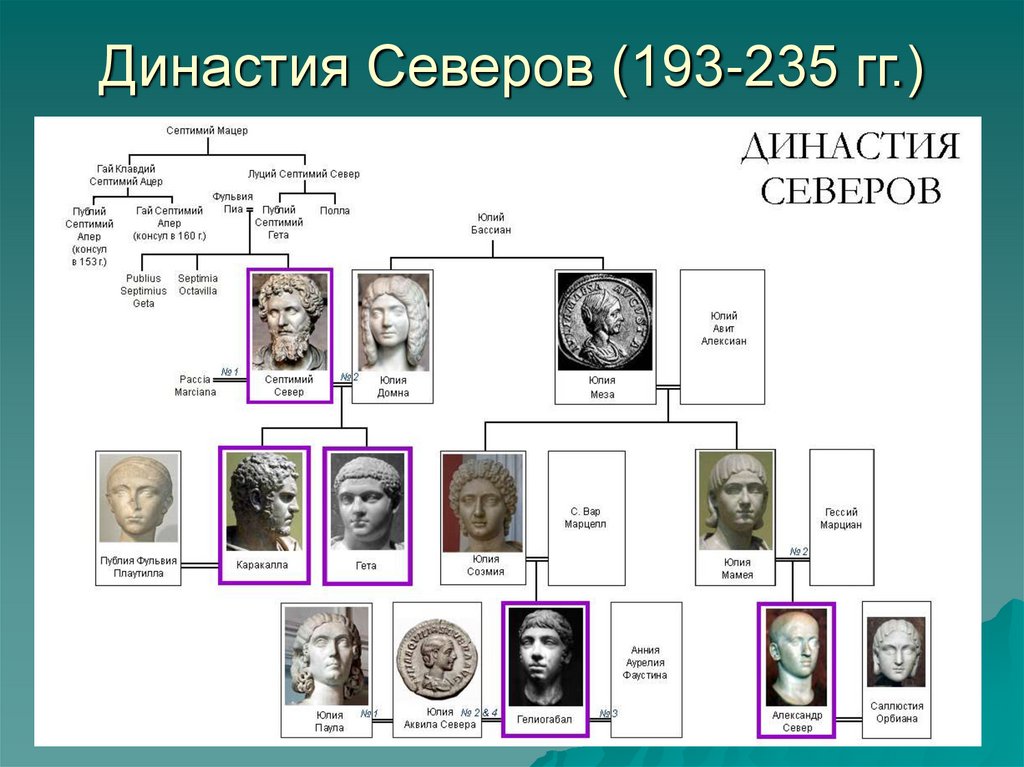 Династия Северов (193-235 гг.)