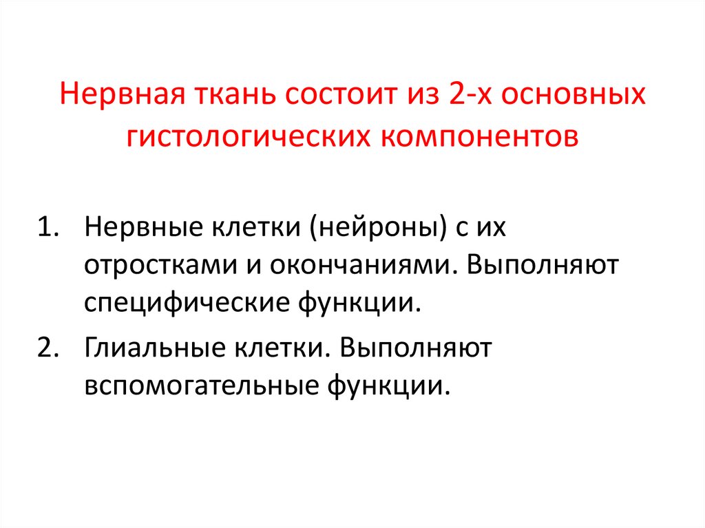Нервная ткань состоит из 2-х основных гистологических компонентов