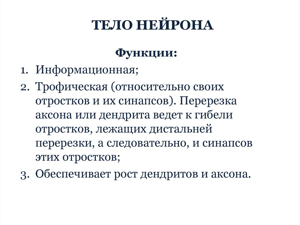 ТЕЛО НЕЙРОНА