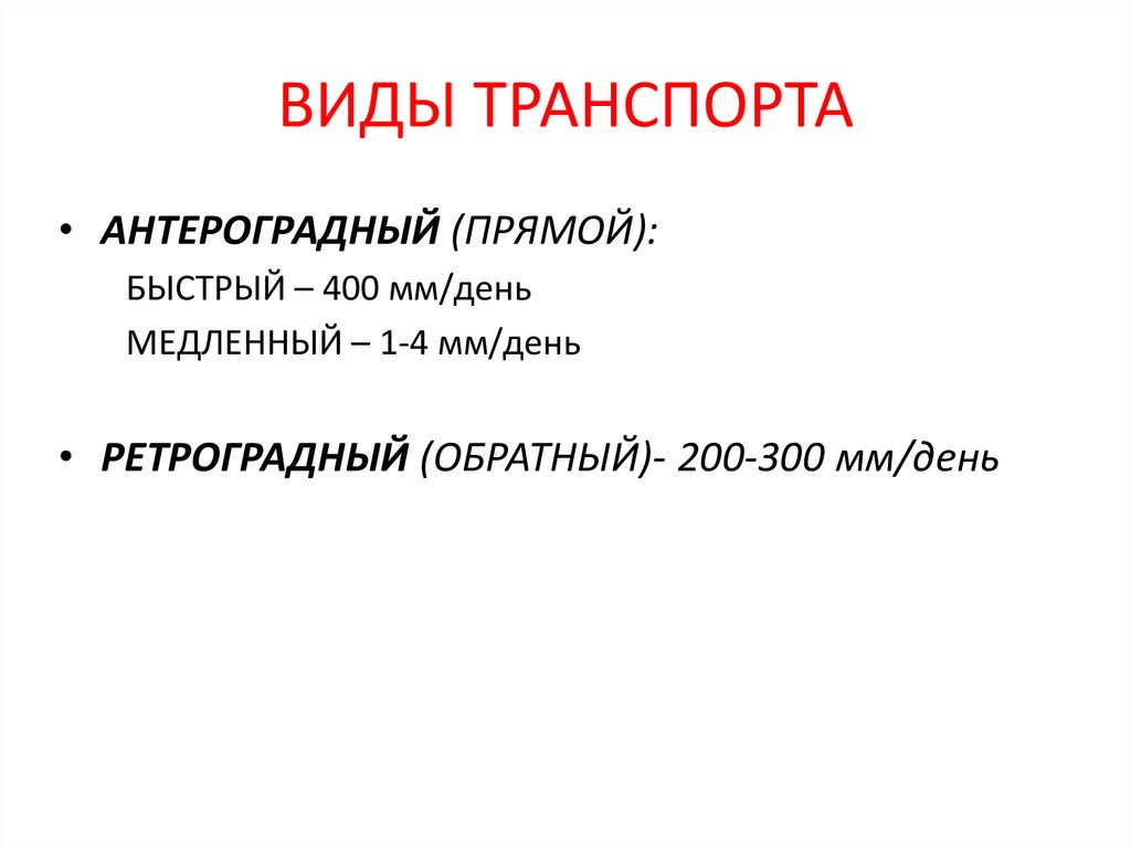 ВИДЫ ТРАНСПОРТА