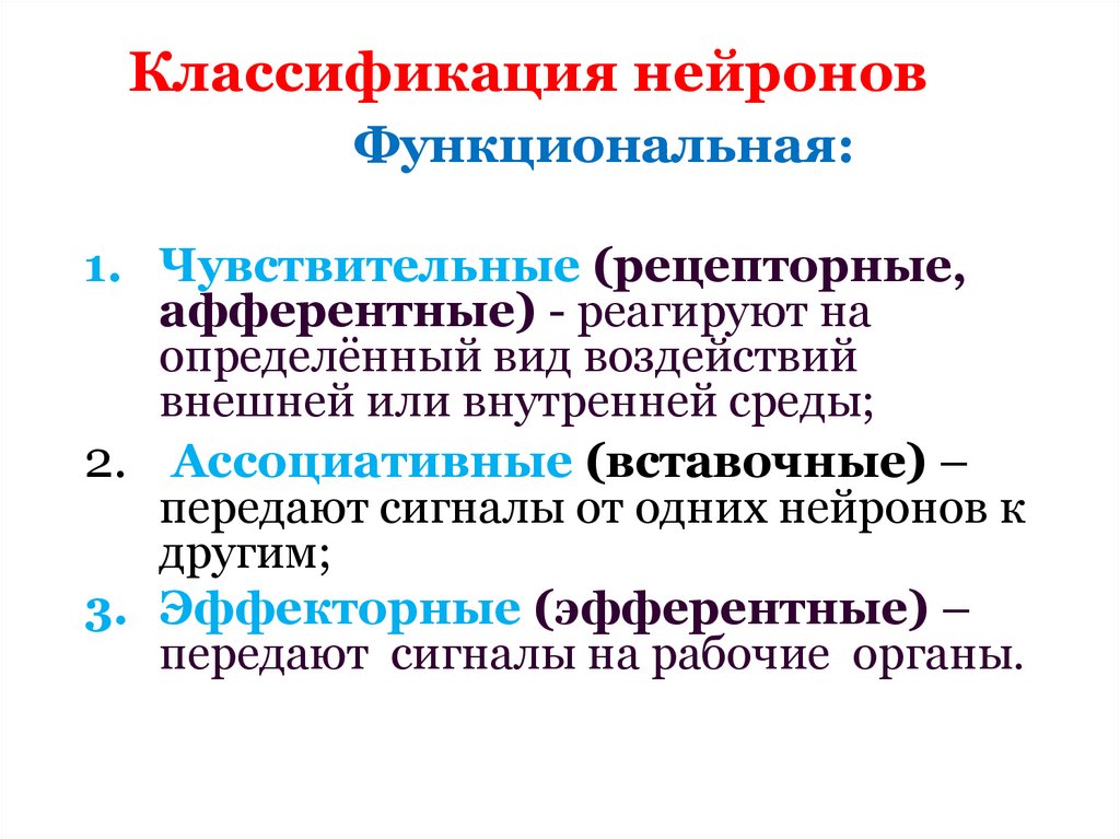 Классификация нейронов