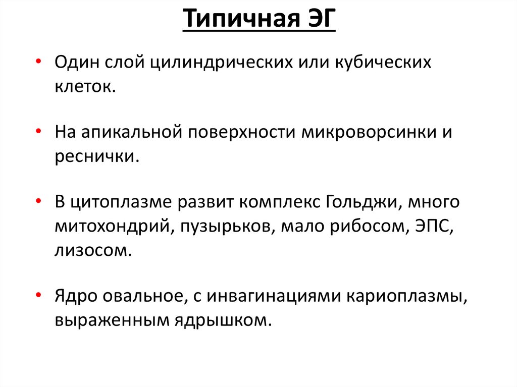 Эпендимная глия (ЭГ)