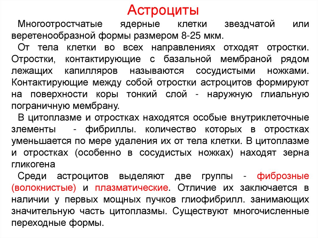 Клетки-сателлиты