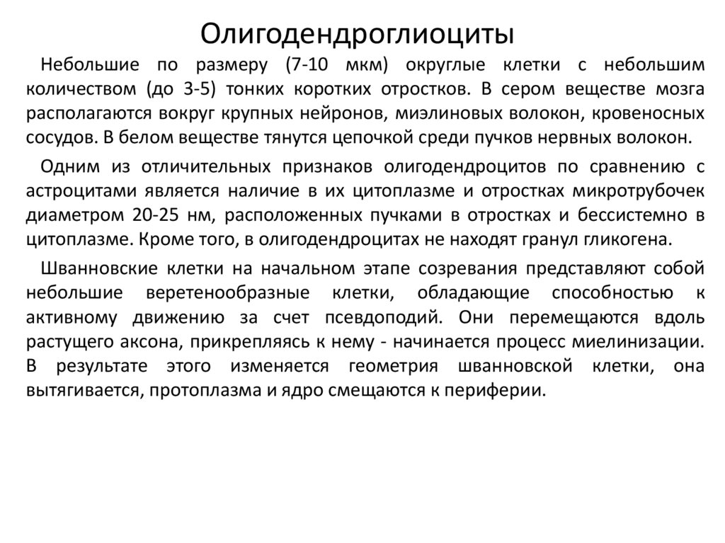 Гемато-энцефалический барьер