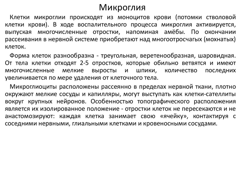 Олигодендроглиоциты