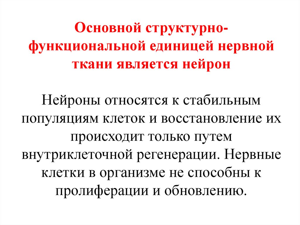 Основной структурно-функциональной единицей нервной ткани является нейрон Нейроны относятся к стабильным популяциям клеток и