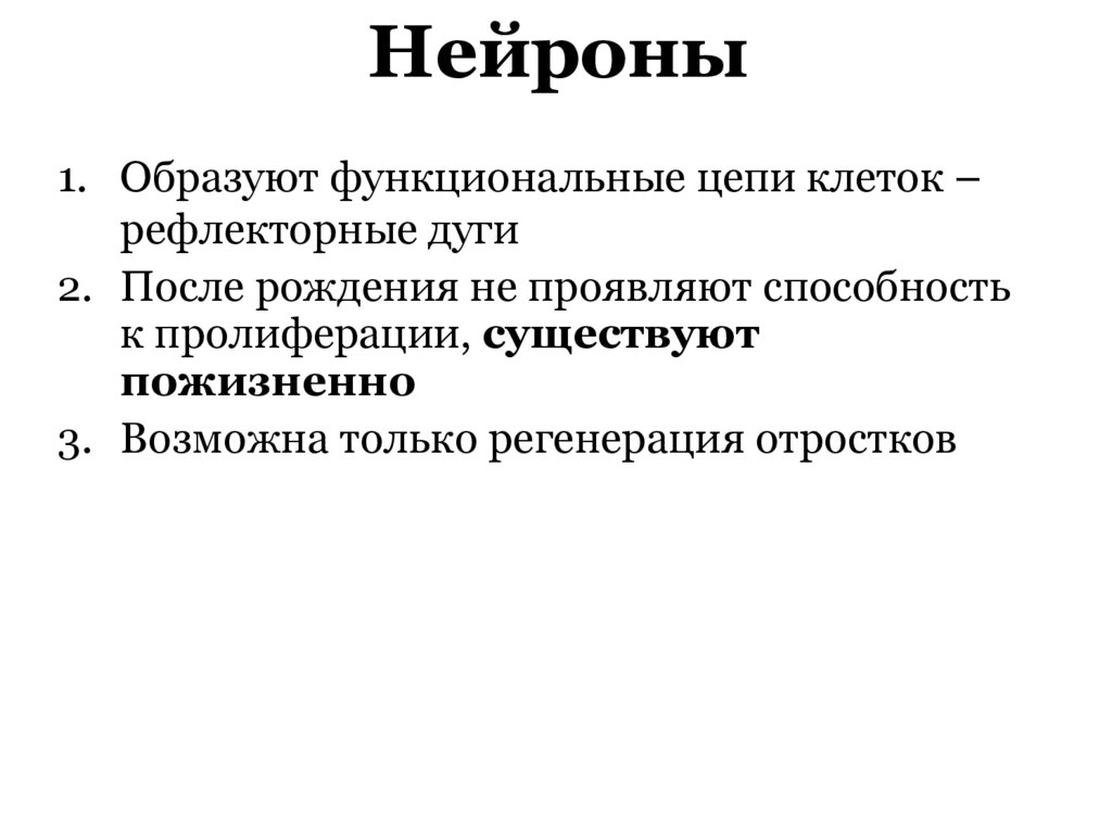 Нейроны