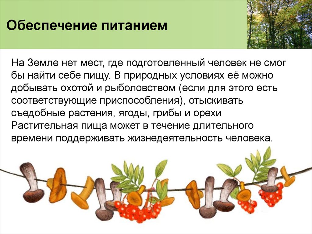 Обеспечение питанием