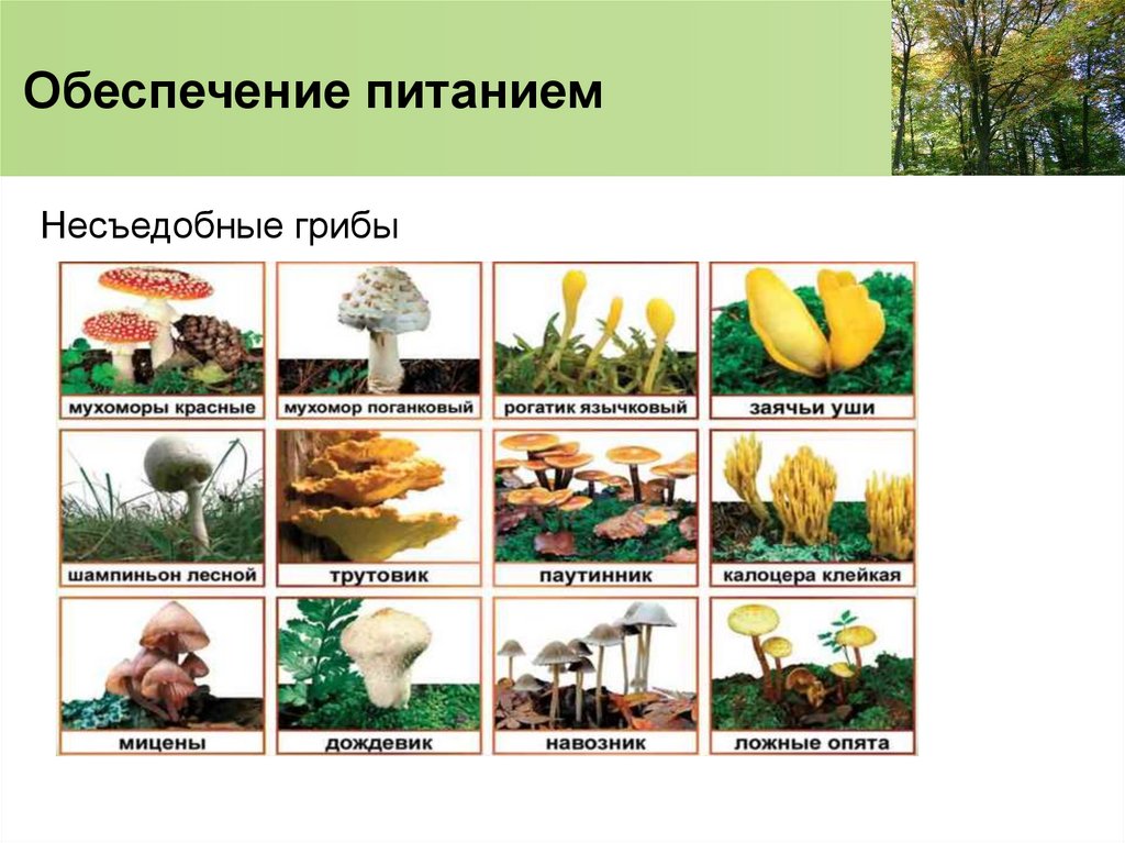 Обеспечение питанием