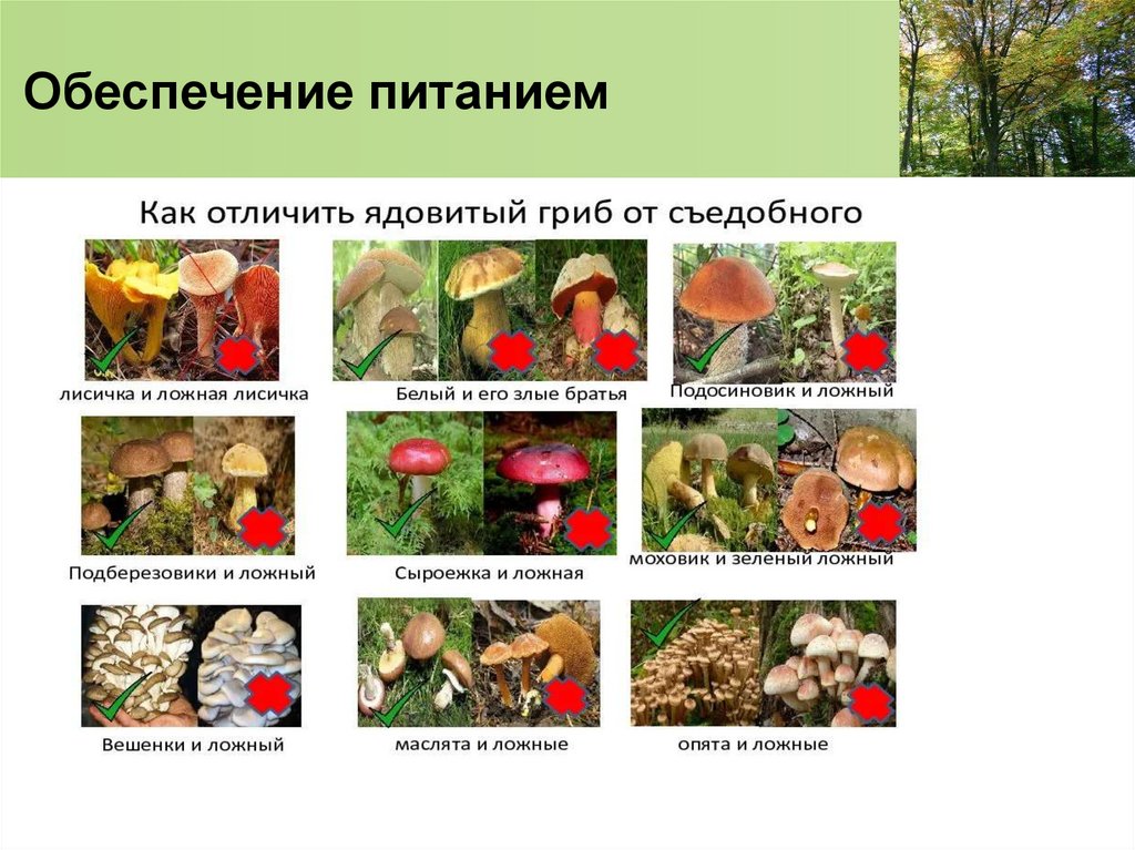 Обеспечение питанием