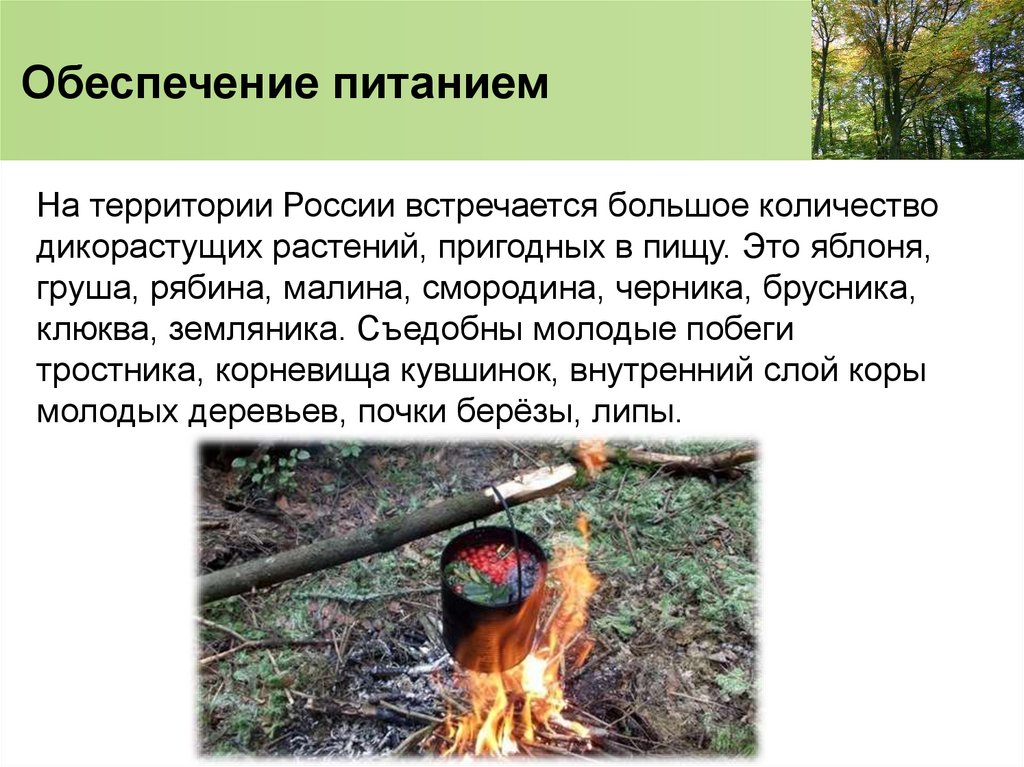 Обеспечение питанием