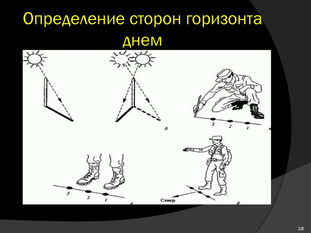 Определение сторон горизонта днем